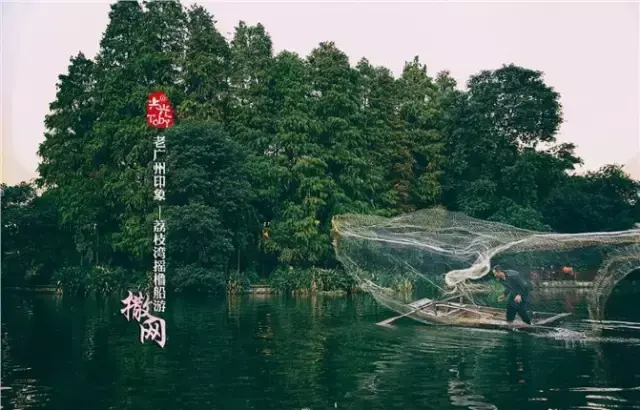 品味老广州 早茶粤剧西关屋 荔湾景区摇橹船 广州荔枝湾游船