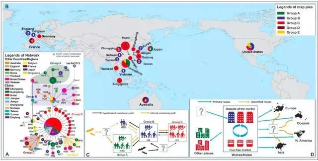 华南海鲜市场不是新冠病毒发源地，武汉是吗？美国呢？兰州大学研究员赵序茅这样解读