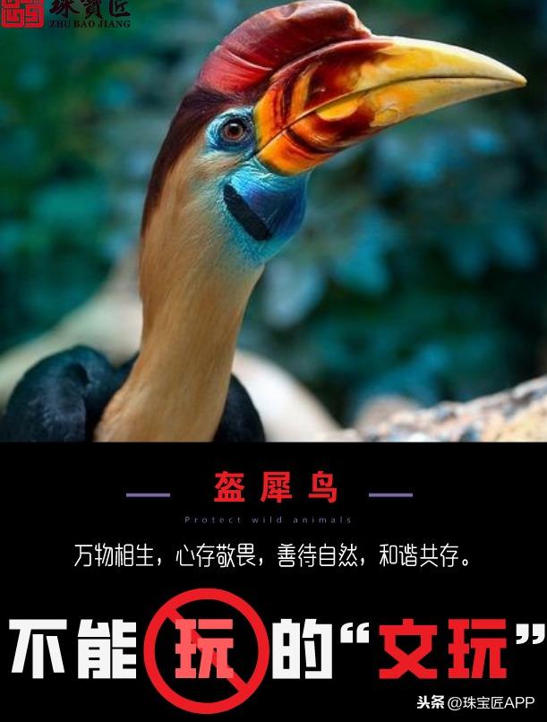不只是蝙蝠和穿山甲！远离这些野生动物，不沾"带血的文玩"