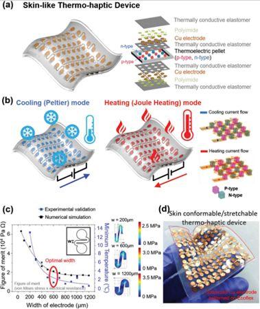 复旦大学徐彦辉Science；刘庄，蒋伟，毛辉，吴松，廖永红等成果速递丨BioDaily20200211