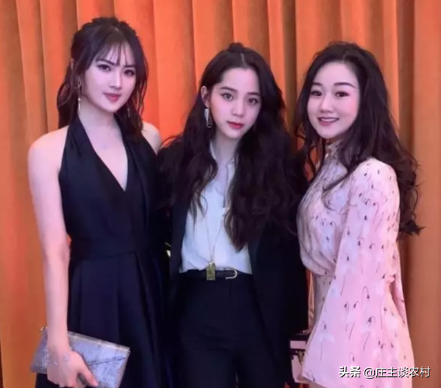 赵本山闺女整容后被骂，任正非女儿"换脸"成最美千金，同框欧阳娜娜