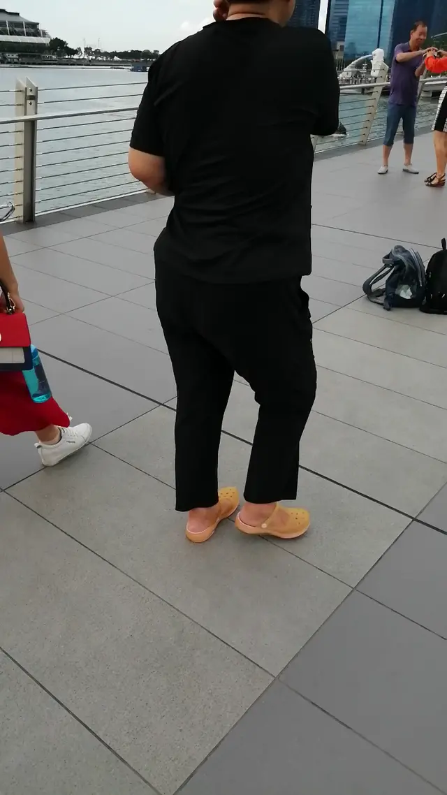 退休后同夫人去新加坡旅游。