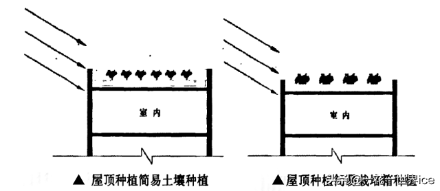 垂直农业会成为下一个风口吗？