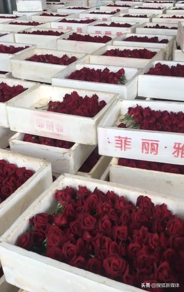 10万支鲜花烂在地里，价格暴跌20倍，云南花农：烂地里还少亏一点