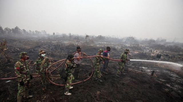 印尼森林大火敲响了警钟：熊熊燃烧的，不是别的，而是人类自己