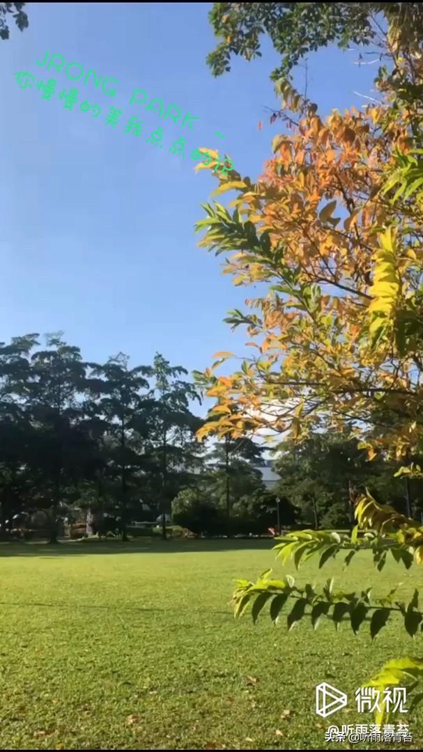 新加坡JRONG PARK，我生活六年的地方。