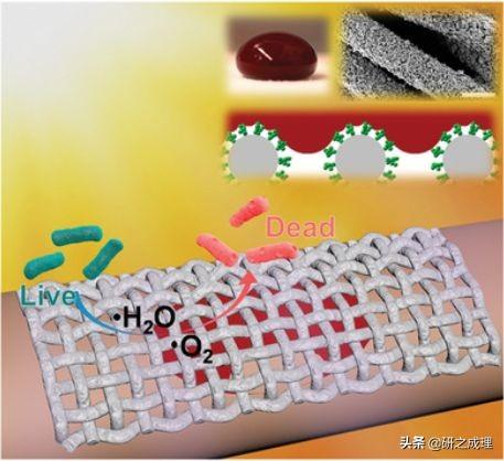 催化周报：Science、Nat. Chem.、JACS、AM、Angew、Chem等大合集