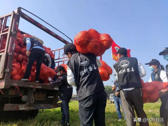 抗击疫情，为爱逆行！化州市禁毒公益人再次捐赠32吨南瓜发往湖北