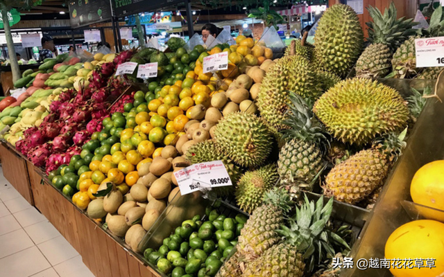 越南果蔬出口中国受阻，转而去新加坡