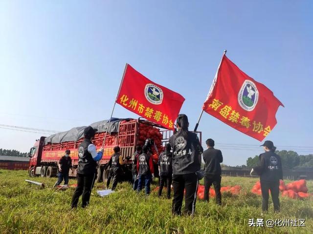 抗击疫情，为爱逆行！化州市禁毒公益人再次捐赠32吨南瓜发往湖北