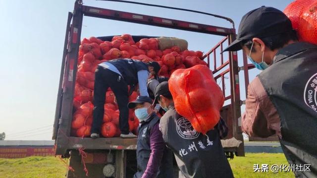 抗击疫情，为爱逆行！化州市禁毒公益人再次捐赠32吨南瓜发往湖北