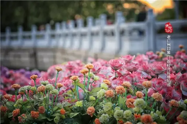 品味老广州 早茶粤剧西关屋 荔湾景区摇橹船 广州荔枝湾游船