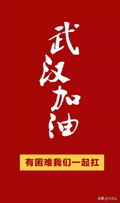 口罩紧缺！千名四川导游变身“特快快递“ 从海外带回200万只口罩