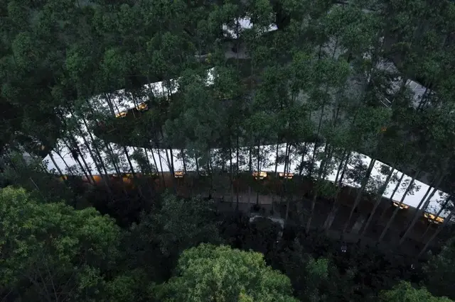 年度最佳建筑大奖出炉，重庆8D魔幻钟书阁上榜，看完想打卡