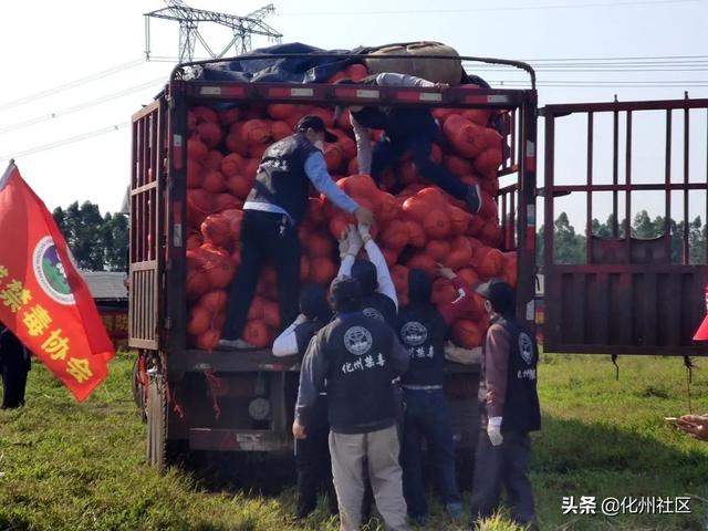 抗击疫情，为爱逆行！化州市禁毒公益人再次捐赠32吨南瓜发往湖北