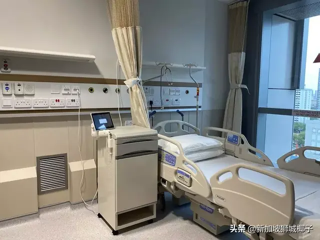 哈佛研究院：新加坡用“黄金标准”检测感染病例，被点名称赞