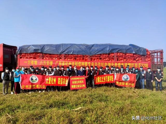 抗击疫情，为爱逆行！化州市禁毒公益人再次捐赠32吨南瓜发往湖北