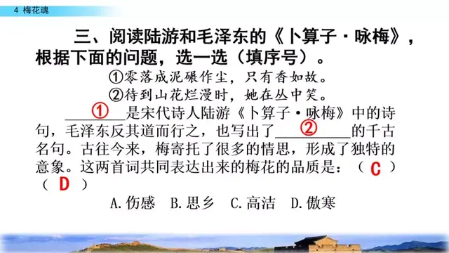 部编版五年级语文下册第四课《梅花魂》知识点及课堂测试题