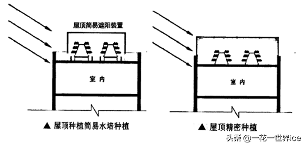 垂直农业会成为下一个风口吗？