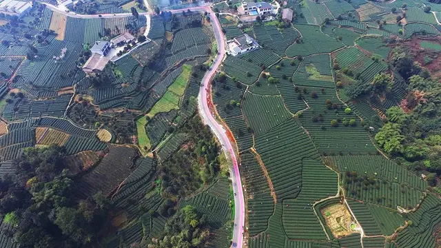 清代蜀学大师吴之英与蒙顶山茶