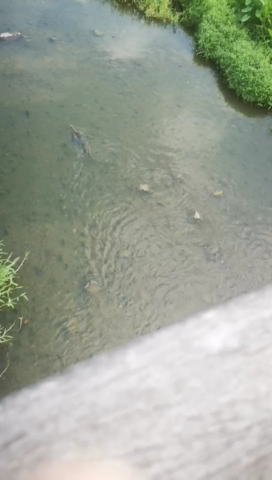 新加坡碧山公园