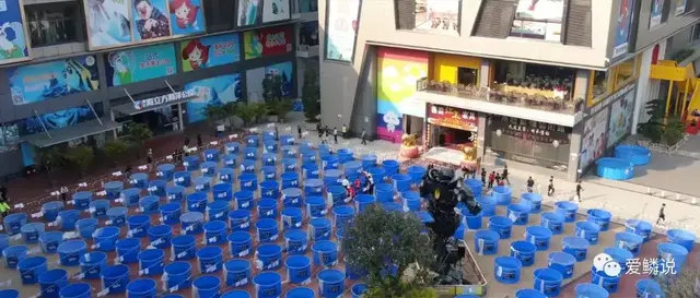 独家视频 | 第十九届中国锦鲤大赛全方位解读！