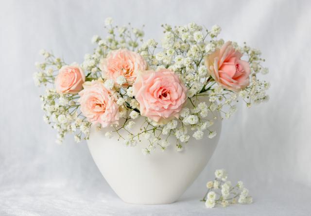 新加坡留学之工商管理专业