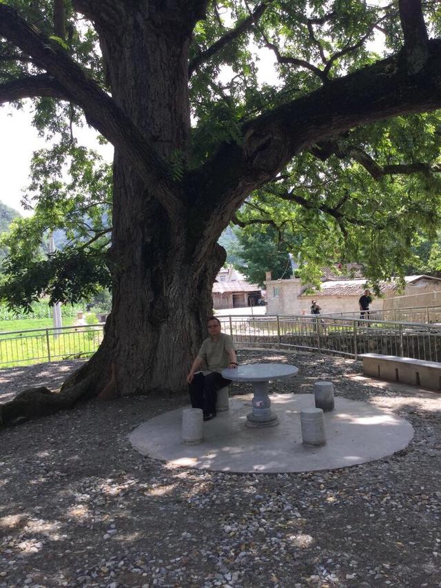 旅行：野人谷木瓜河