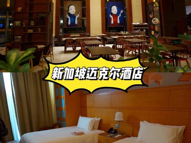 新加坡岛上的酒店—3层视野超级赞 跟着公司去新加坡团建，入住的圣淘沙岛的五星酒店，五星级。 酒店超级超级大，摆设都好文艺，抽中三层的房间，结果一推开门就是泳池，也太幸运了吧！我们还在酒店里开年会，酒店