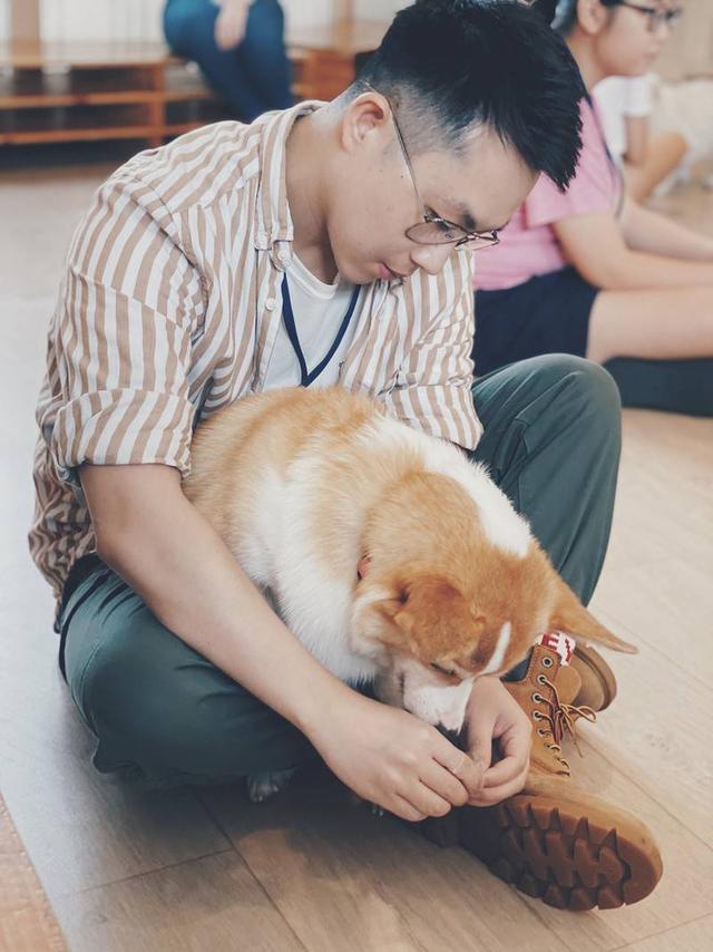 | 一起来咖啡店撸狗呀  新加坡的第一间可以撸狗的咖啡店-We are the Furballs，位于Bugis+的楼顶花园内，这里有包括柯基、斗牛在内的十来只狗狗，每一只都拥有专属的姓名，很是可爱。