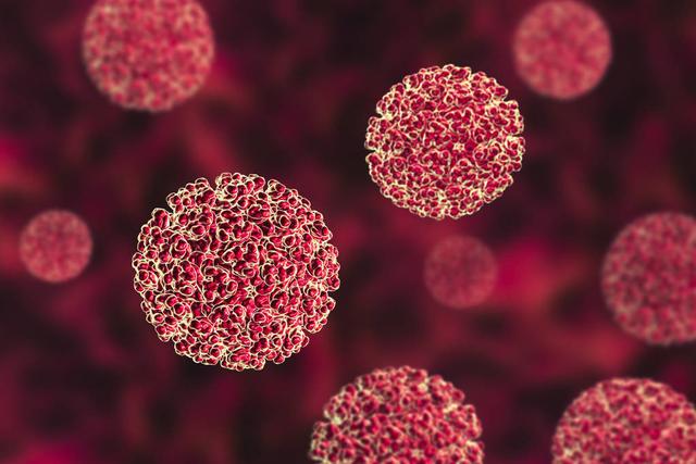 丁子江：一次全方位的民族反省之三：病灾与公德观