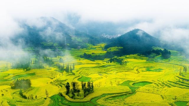 油菜花黄了，乡村旅游“黄”了？没！未来可期