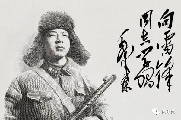 村里有棵三百多年的古槐树