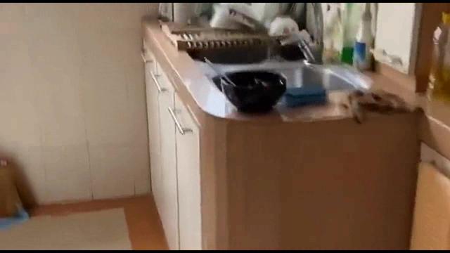 新加坡不出门倒垃圾