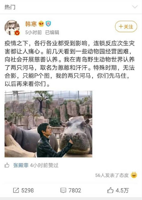 青岛两只河马被韩寒认养 你也想认养一只小可爱吗？名字你来取