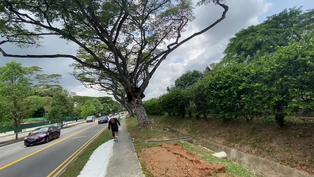 新加坡漫谈Vlog-6