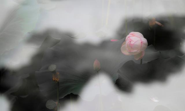 学生必知 | 语文学习课外百科知识大全！