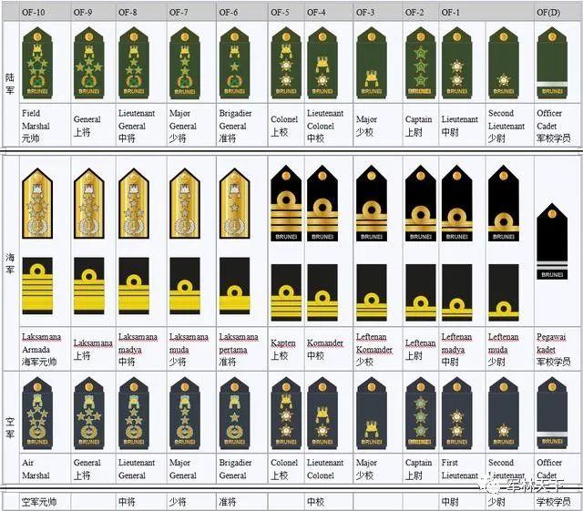 文莱人口42万，华人占了4万，军队兵力多达6千，苏丹是五星上将军衔，体现皇权