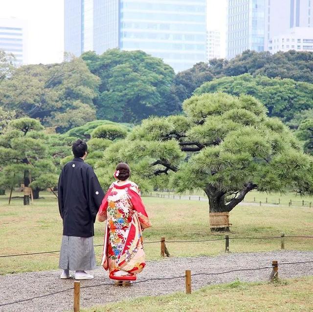 半城繁华半城园，春来十城早知道