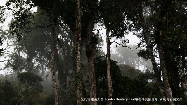 第901回：婆罗洲最高峰神山，风下之乡沙巴亚庇