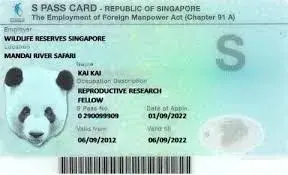 新加坡又收紧外国人准证政策，EP月薪从$3600涨到$3900