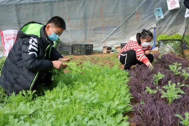 元气满满！这就是福山的春天