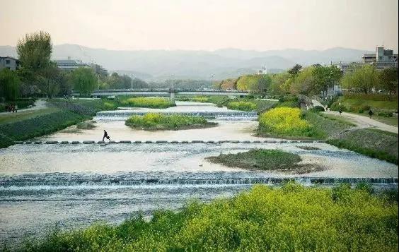 城市河道生态治理与景观提升新策略—“复式蓝线管理”