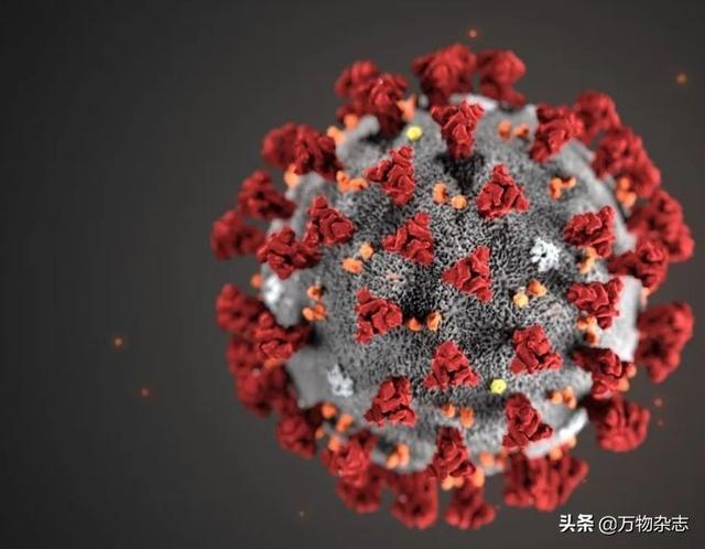 美国承认官方新冠检测试剂无效，核酸试剂到底有多复杂？