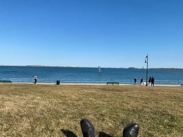 放弃回国的留学生们