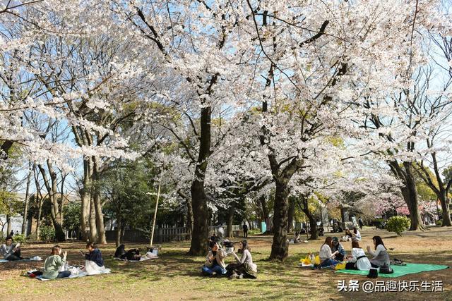 日本的成功，却困扰整个世界