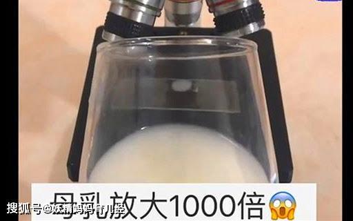 “母乳”放大1000倍，显微镜下是活的会动，网友：世间最好的食物