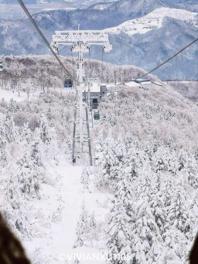 塑料母女深度解锁日本东北秋田县&山形县