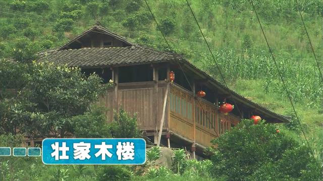 新加坡综艺《我的导游是明星6》广西005：金车壮寨