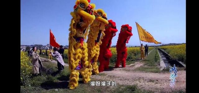 平江油菜花搭乘网络快车香九州艳四海